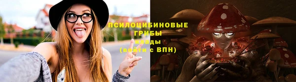мдпв Армянск