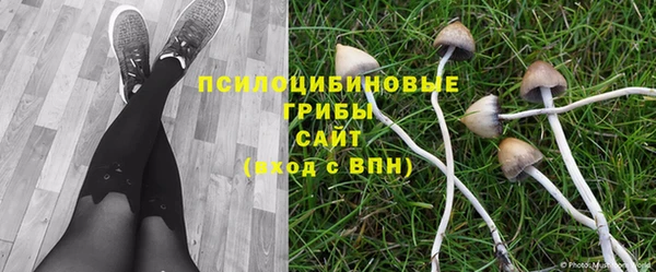 мдпв Армянск