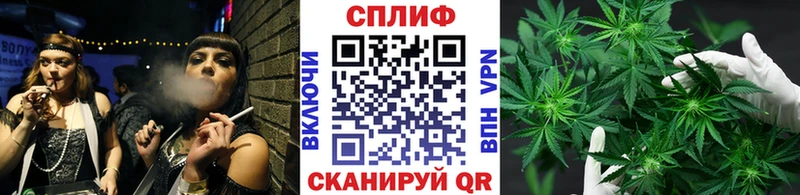 Конопля семена  Купить где  Богородицк 